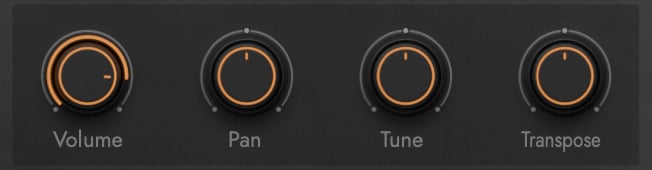 General Controls